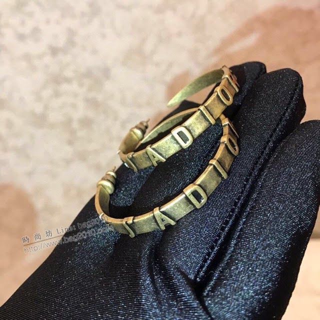 Dior飾品 迪奧經典熱銷款大圈新款耳環耳吊  zgd1321